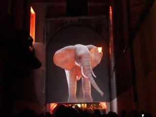 Fete des lumieres 2011