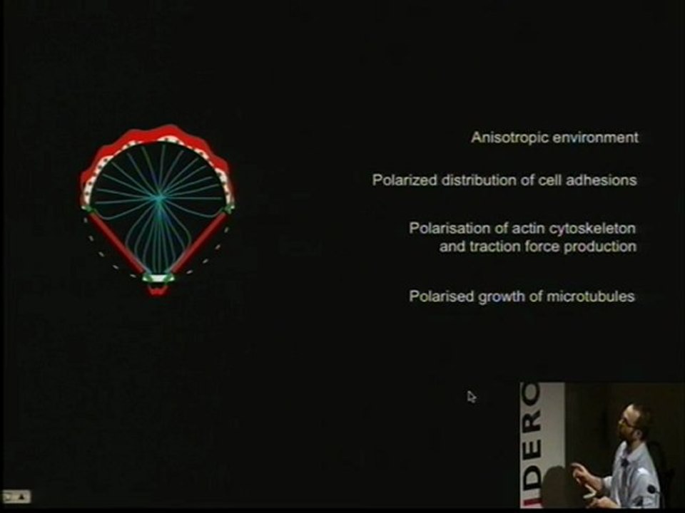 Prix Jeune Chercheur de la SBCF 2011 Part3