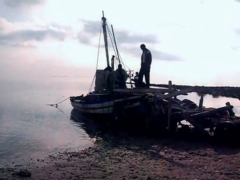 sfax 2011