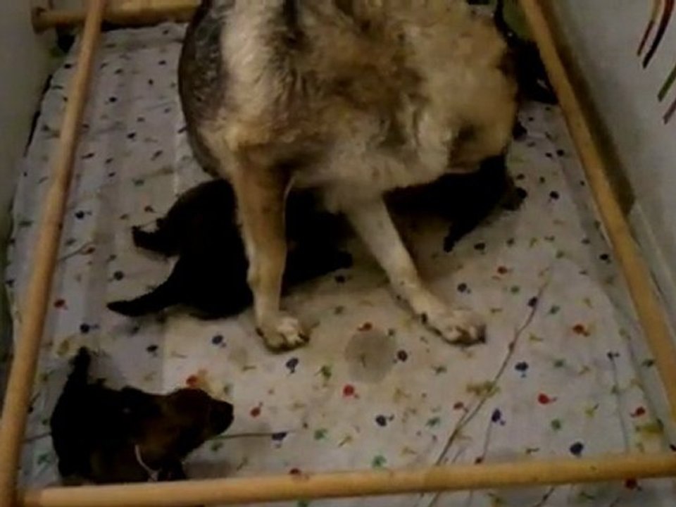 BB novembre Indiana 15 jrs