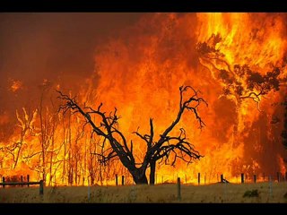 Victorian Bushfires - PLEASE HELP