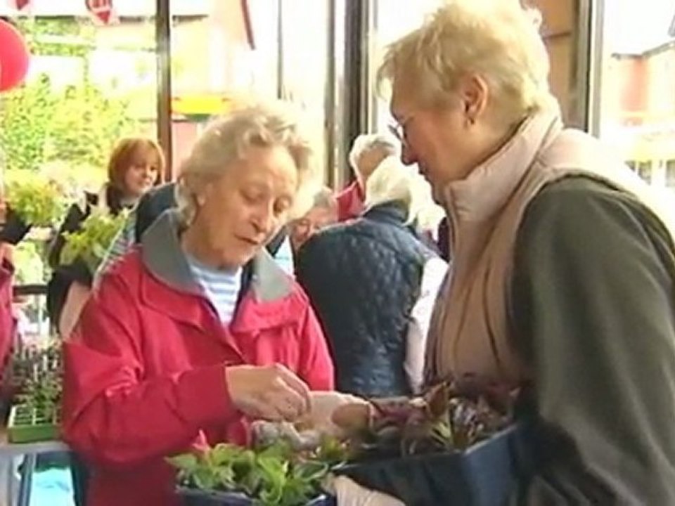 Christian Aid Week 2010: Cardiff Plant Sale