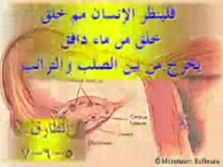 معجزات القرآن الكريم اعجاز القرآن