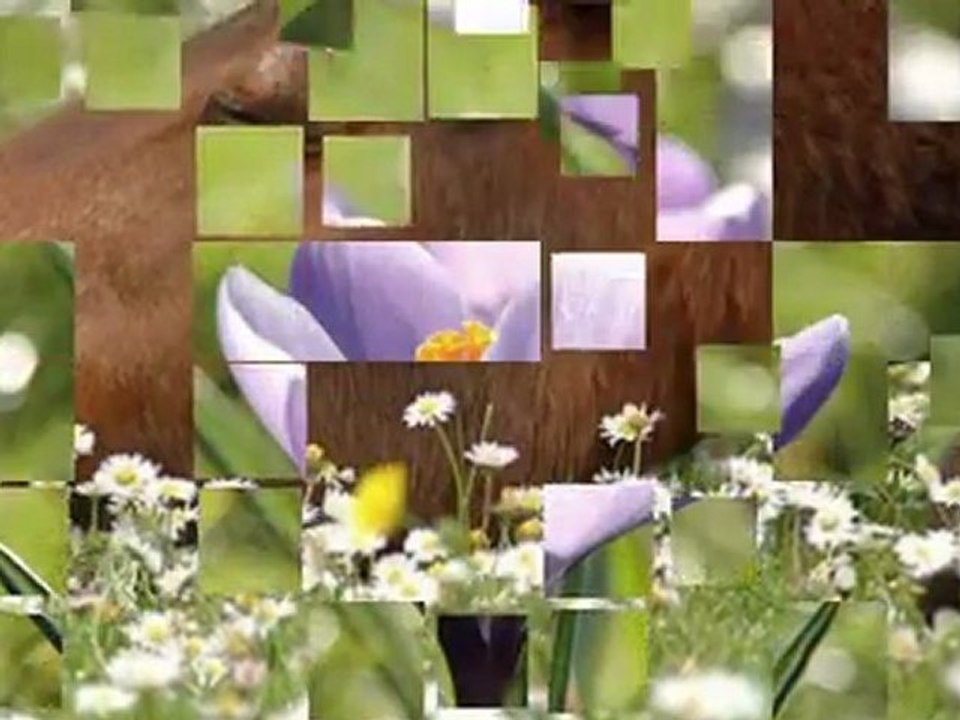 NEŞET ERTAŞ-ZÜLÜF DÖKÜLMÜŞ YÜZE