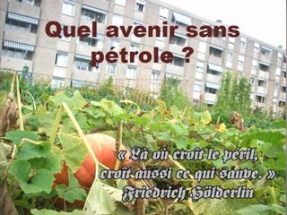 Conférence Benoît Thévard à Toulouse 9-11-2011 « Un avenir sans pétrole » (2/2)