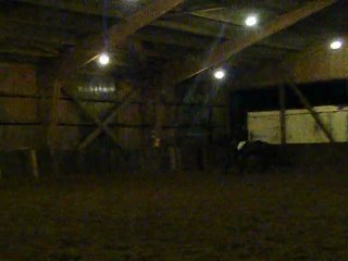 Concours Universitaire - Dressage - 11/12 - Nerval