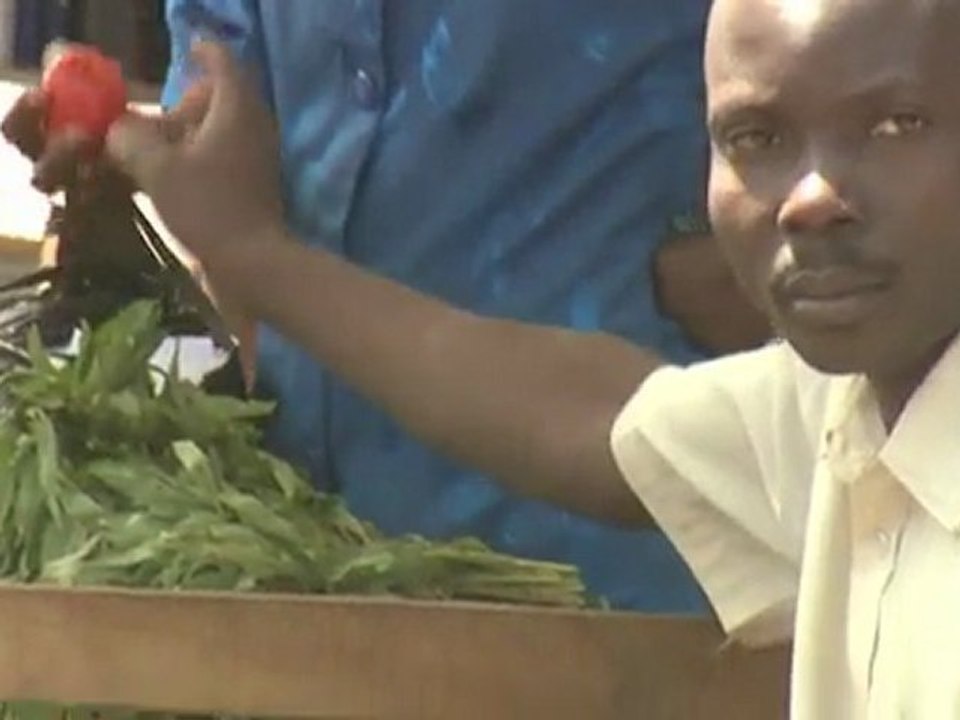 Matopeni slum learns from Kiambiu's success
