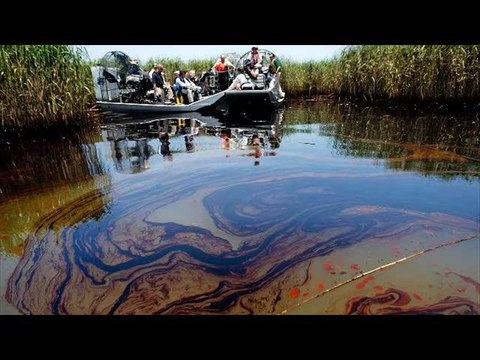 Fears realised as oil spill hits Louisiana marshes