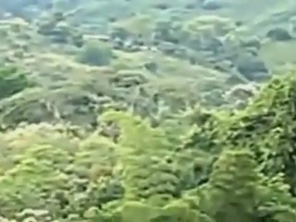 UFO . Colombie.
