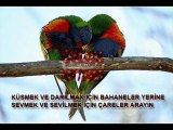 süper kürtçe aşk şarkılar KURBANİ SURAL  @ MEHMET ALİ ARSLAN Grup 2011 - 2012