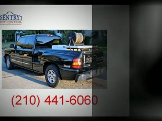 Commercial Pest Control