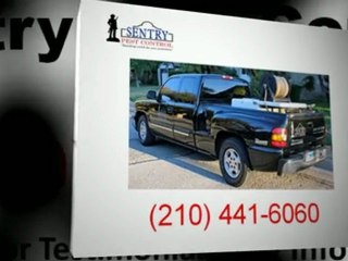 Pest Control San Antonio