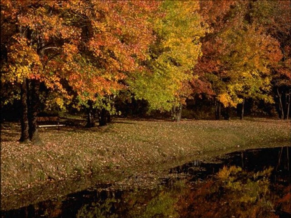 Hamza- Sultanım Kapında