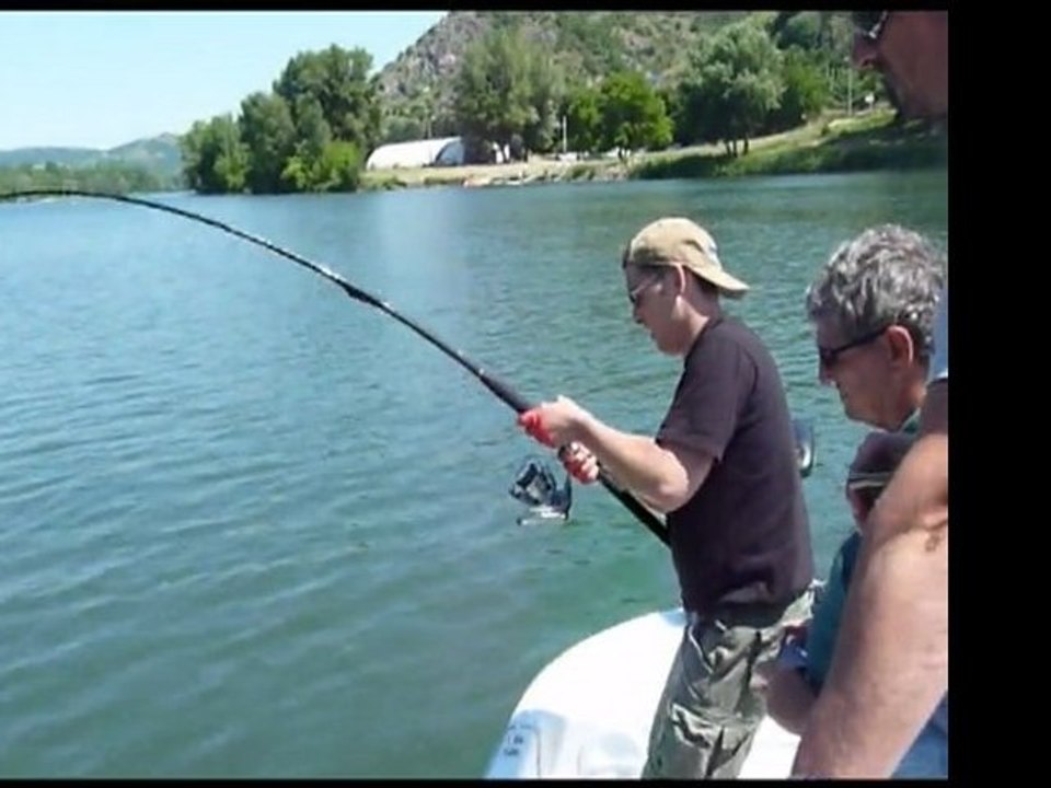 Stage de pêche au silure sur le Rhône