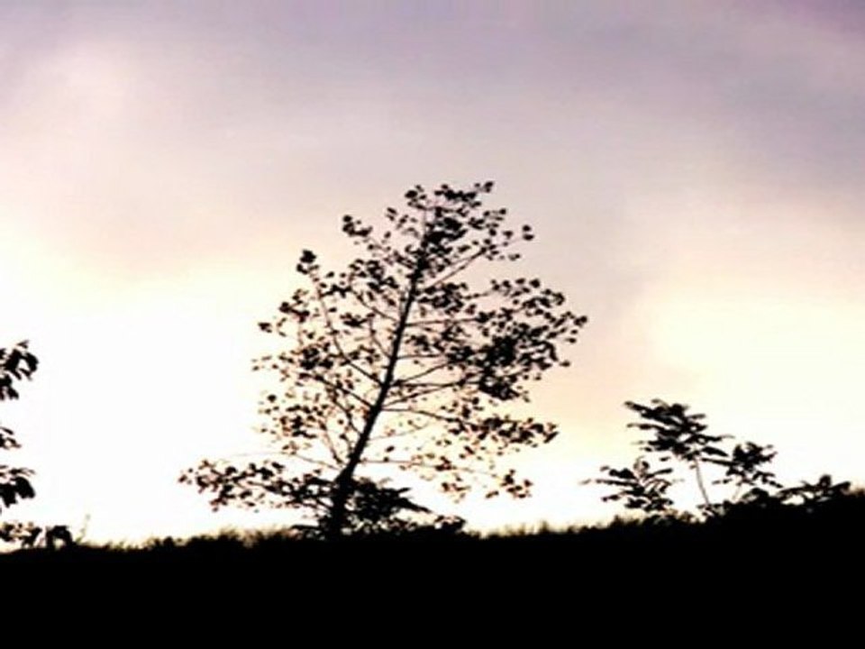 Nuclear Sun