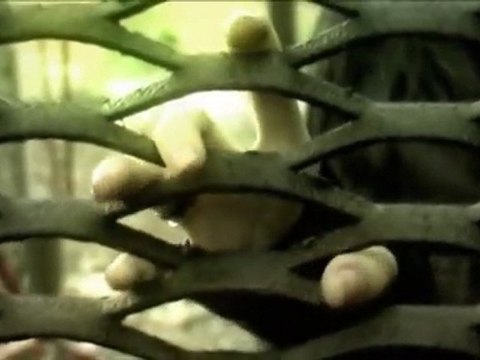 DreamVeil - Закат Цивилизации (2009)