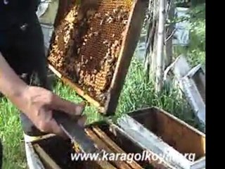 www.siirdergahi.com.Kovan kapagı kümes açılır gibi açılmalı.Ömer Tural-5