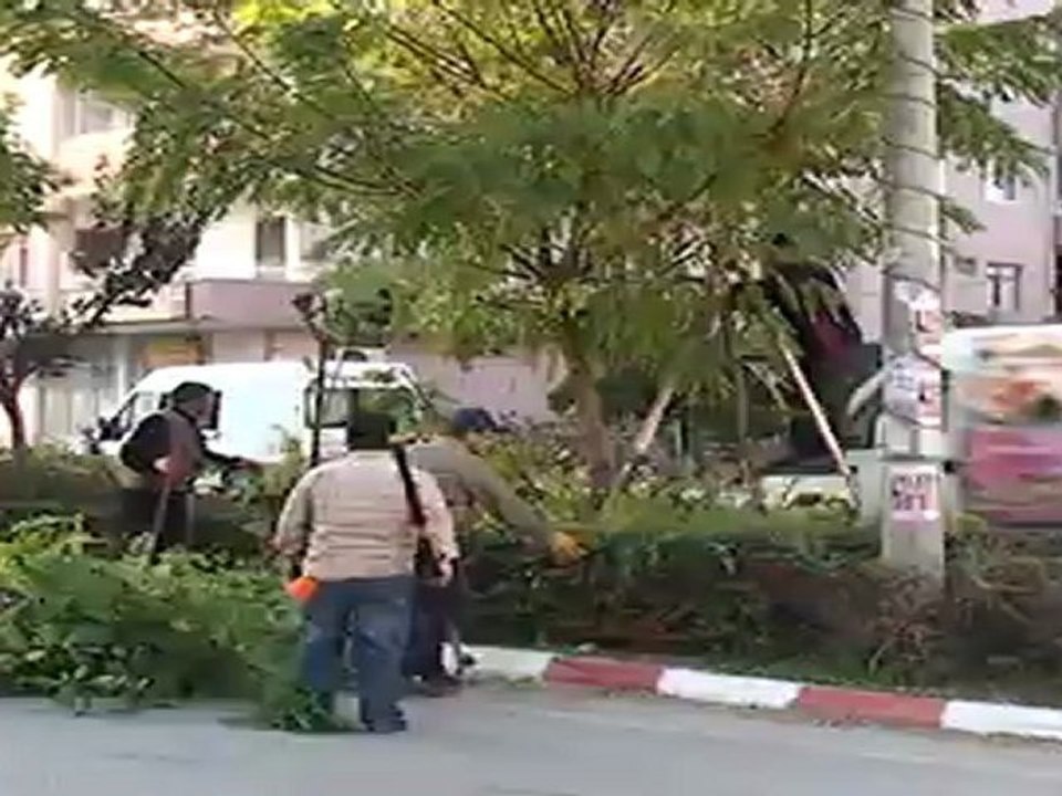 AĞAÇ BUDAMA ÇALIŞMASI