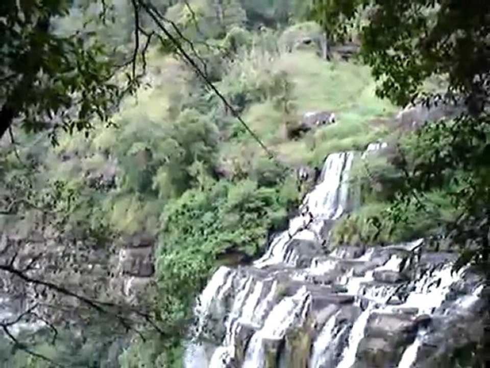 MOV04089