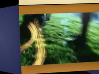 Where to watch -  UAE versus Brazil at Dubai - Emirates ...