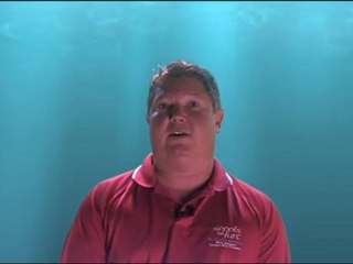 Free Videos from Swimming Pools Indianapolis