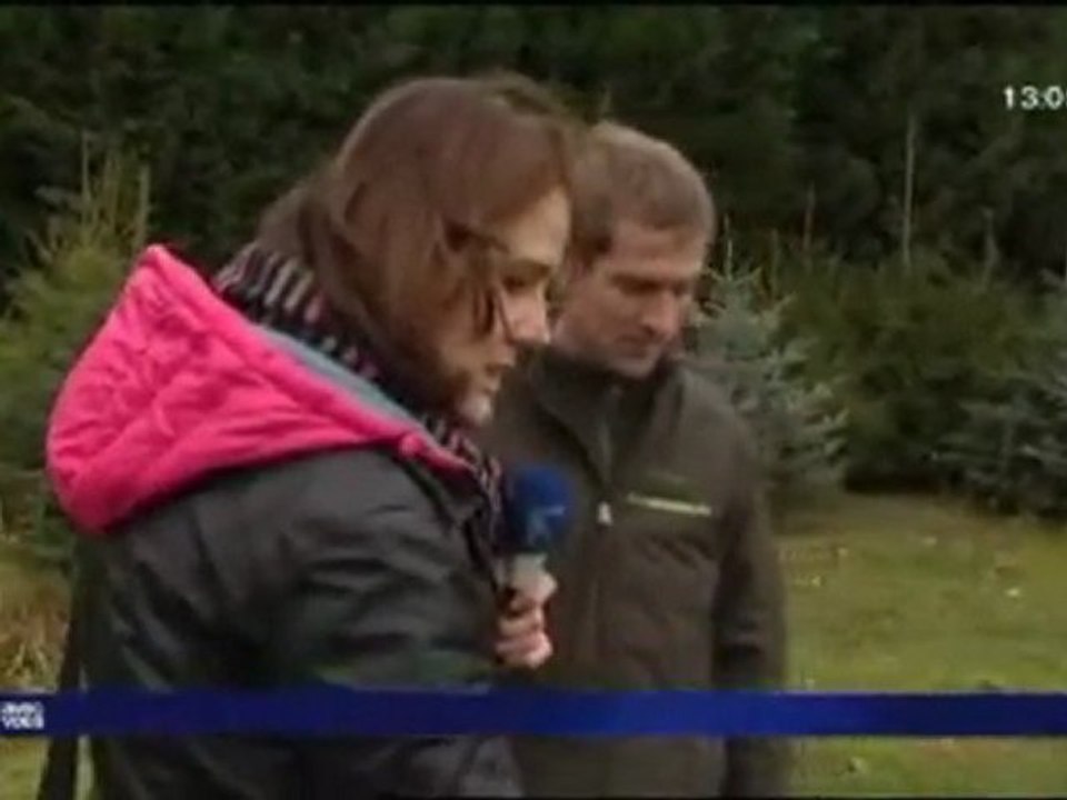 producteur vente sapin de noel nordmann epicea nord pas de calais raimbeaucourt