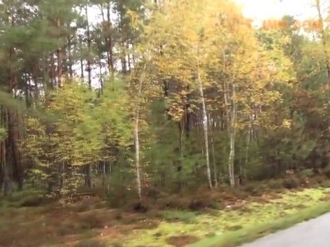 A VENDRE MAISON (41) SOUESMES 41300 Loir et Cher