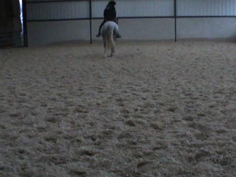 M2U01115 enchainements au galop D 12.12.11