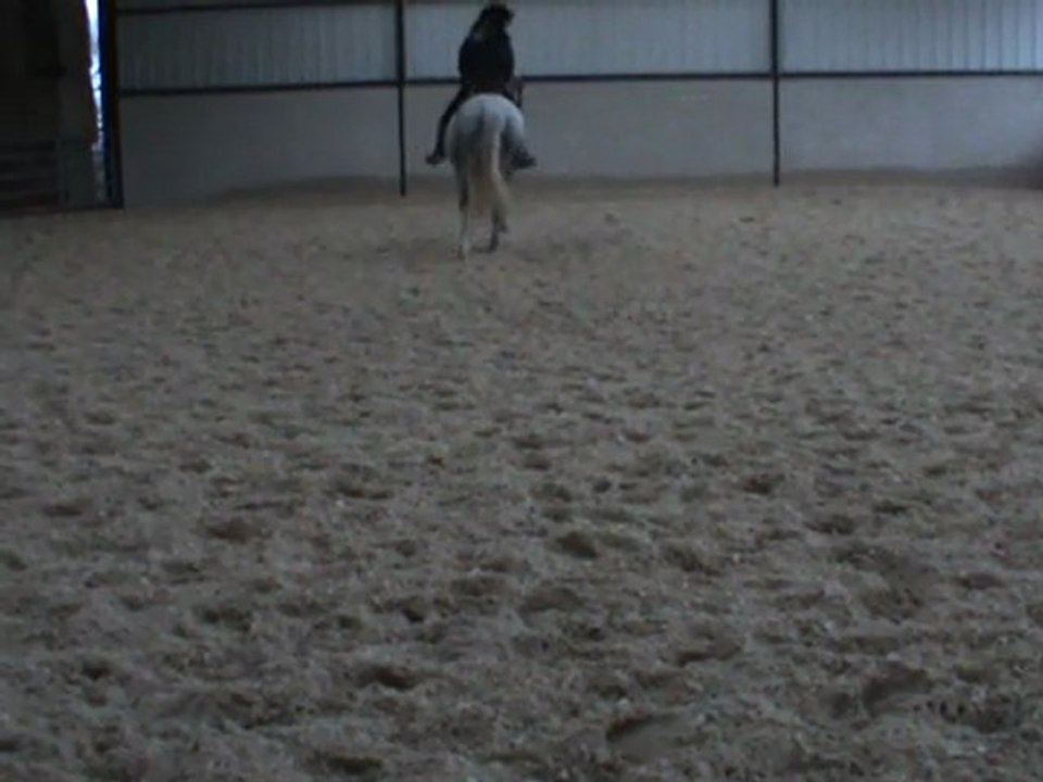 M2U01115 enchainements au galop D 12.12.11