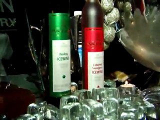 Niagara Icewine Festival - Jan 2012