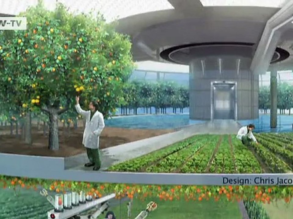 How Cities of the Future Can Feed Themselves | Global 3000