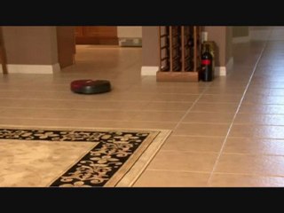 Le chien & l'aspirateur