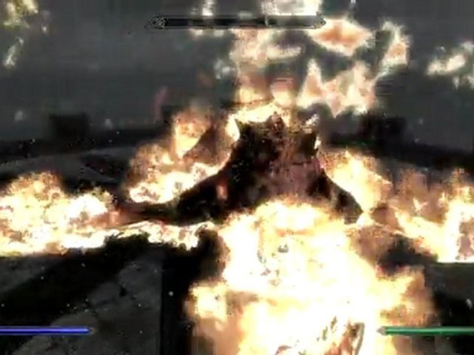 Skyrim - Quelques Dragons