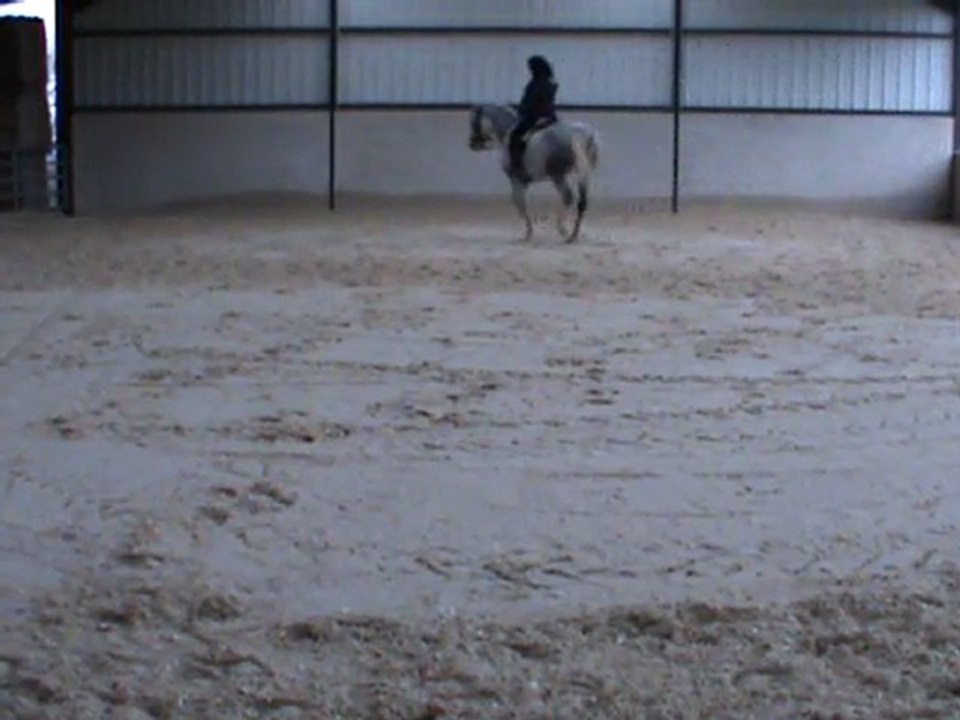 M2U01124 enchainements galop G