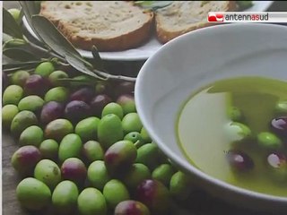 TG 13.12.11 Agriturismo, una buona soluzione per... tutto