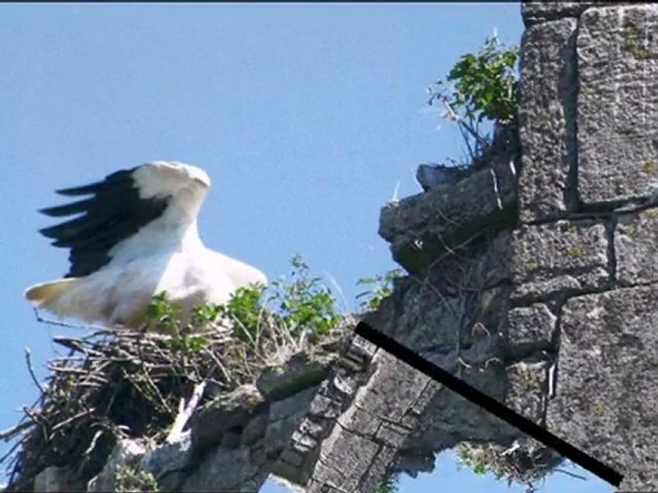 LE CHATEAU DE LA RIVIERE SAINT FROMOND (50)