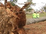 Tornado Losses, Lessons