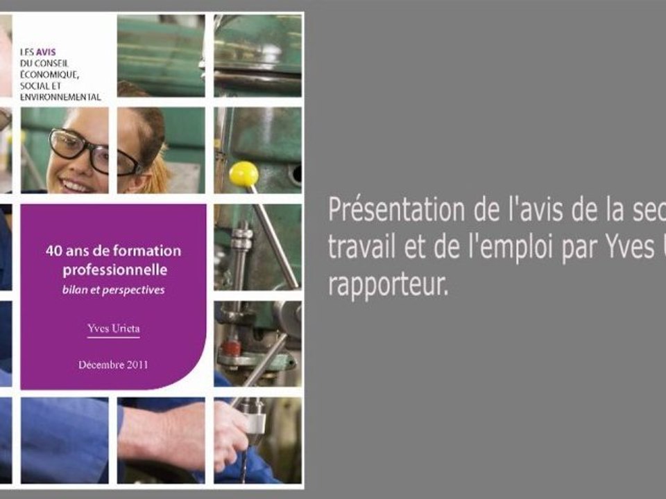 La formation professionnelle - CESE