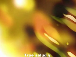 Yoga para principiantes 1-Yoga en Casa -Beneficios