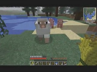 Minecraft - 03.2 - L'Elevage