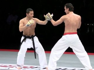 Démonstration de techniques Pro Fight Karate