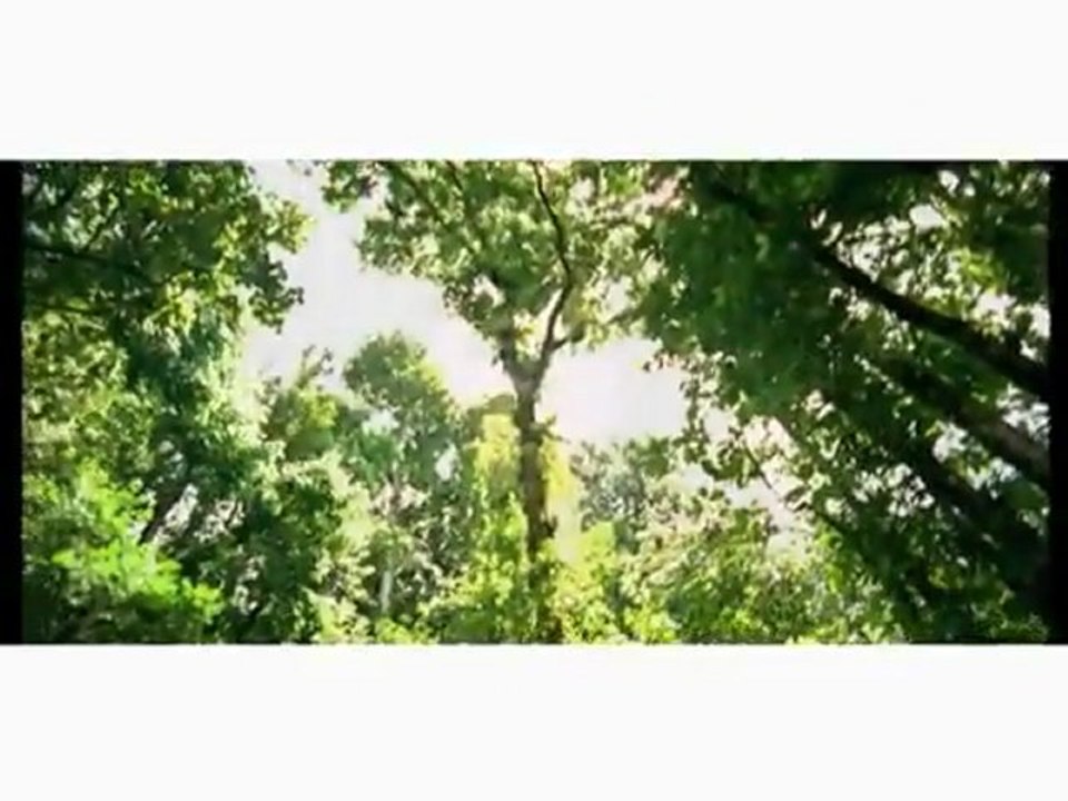 Shy'm - Femme de Couleur