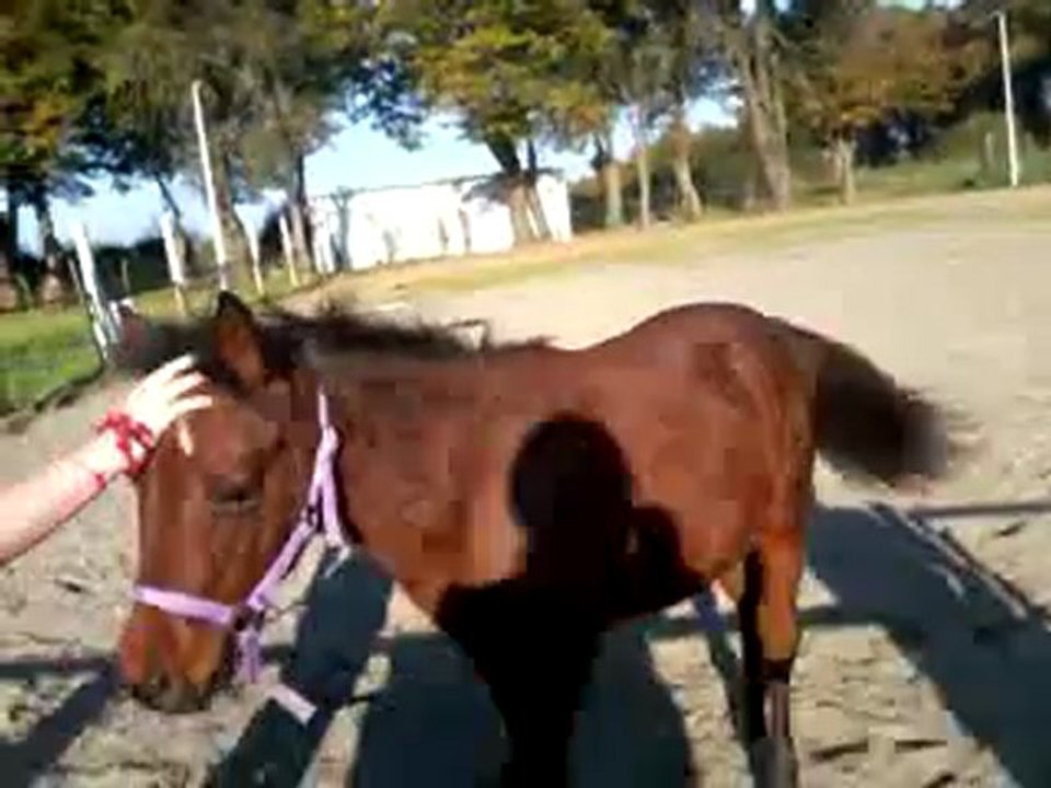 Vidéo0028