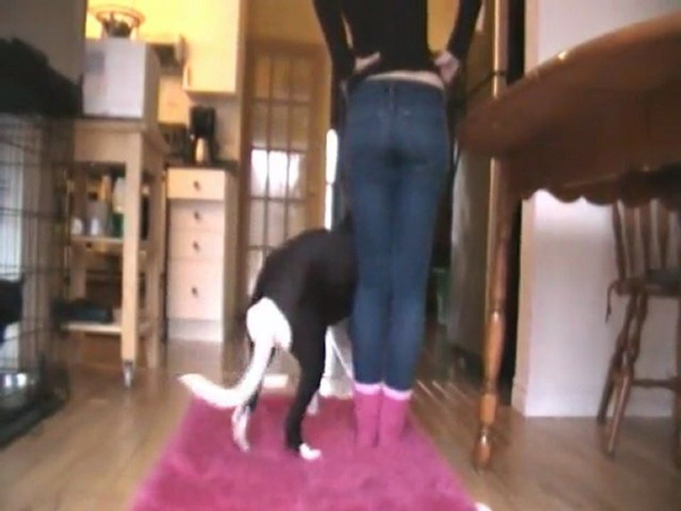 Travail de contact - OBE, OBR