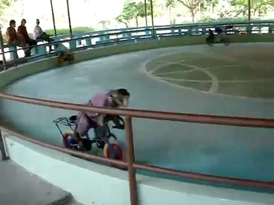 Des singes qui font du vélo