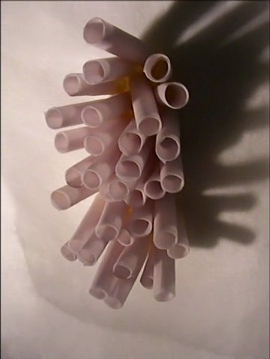 Paper Cell Movement Exploration