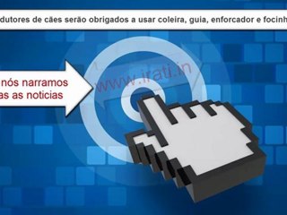 Irati: donos de cães serão obrigados a usar coleira, guia, enforcador e focinheira