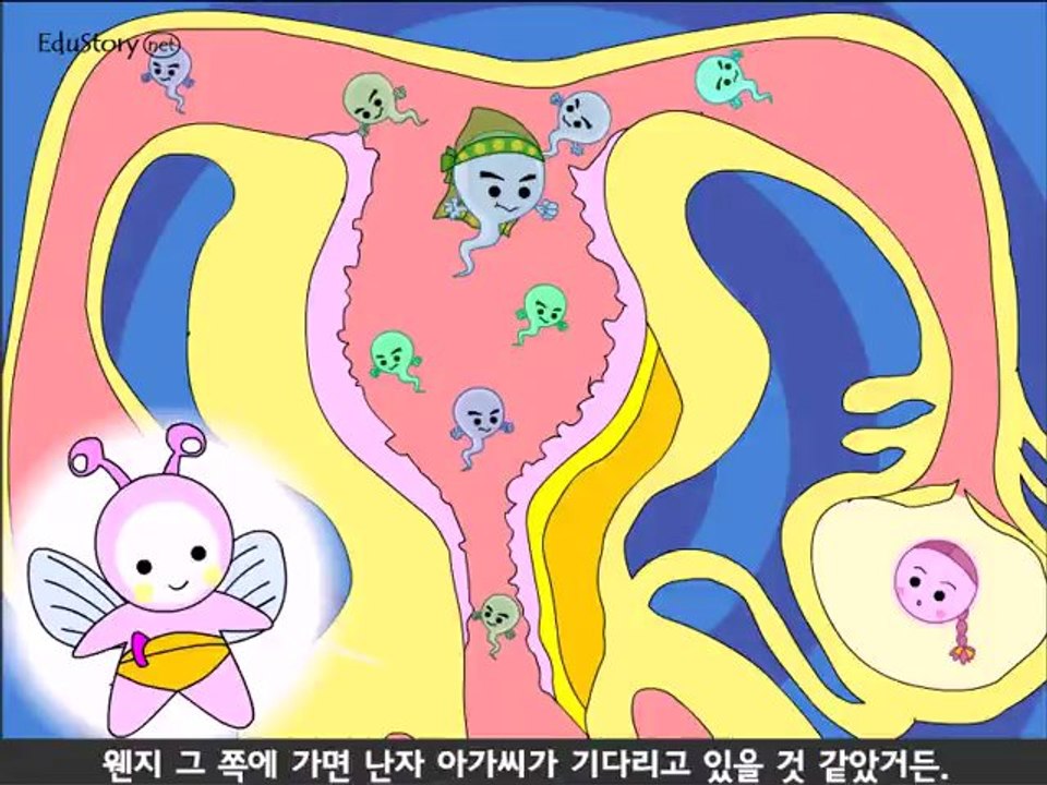 유아 성교육(2) - 아기 어떻게 태어나요?