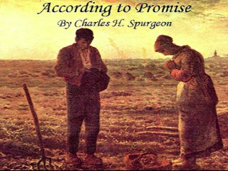 Charles Spurgeon - According to Promise: The Promises in Possession Through the Spirit  (19 of 20)