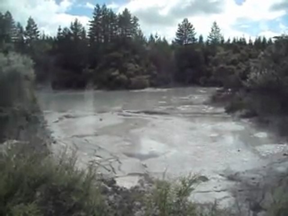 Rotorua : Mud Pool